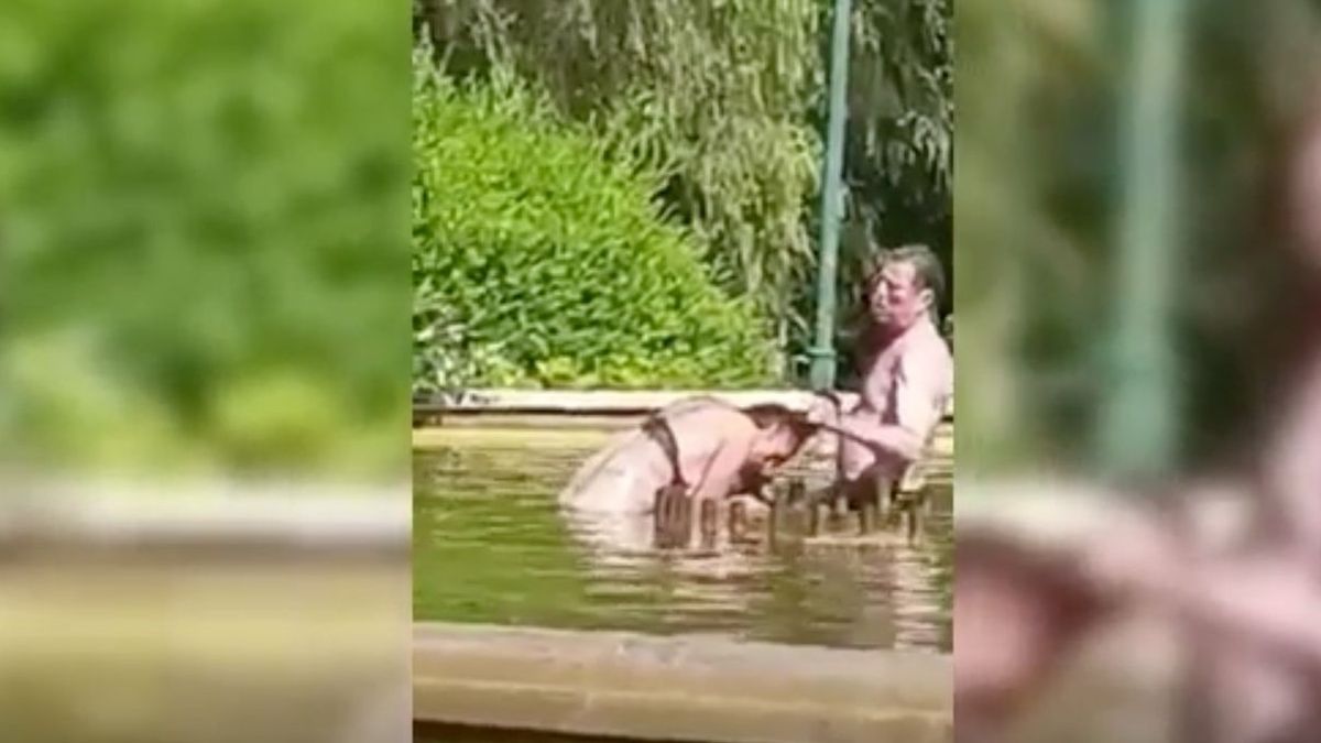 Detenido por intentar ahogar a una mujer en una fuente de Valencia Detenido por intentar ahogar a una mujer en una fuente de Valencia