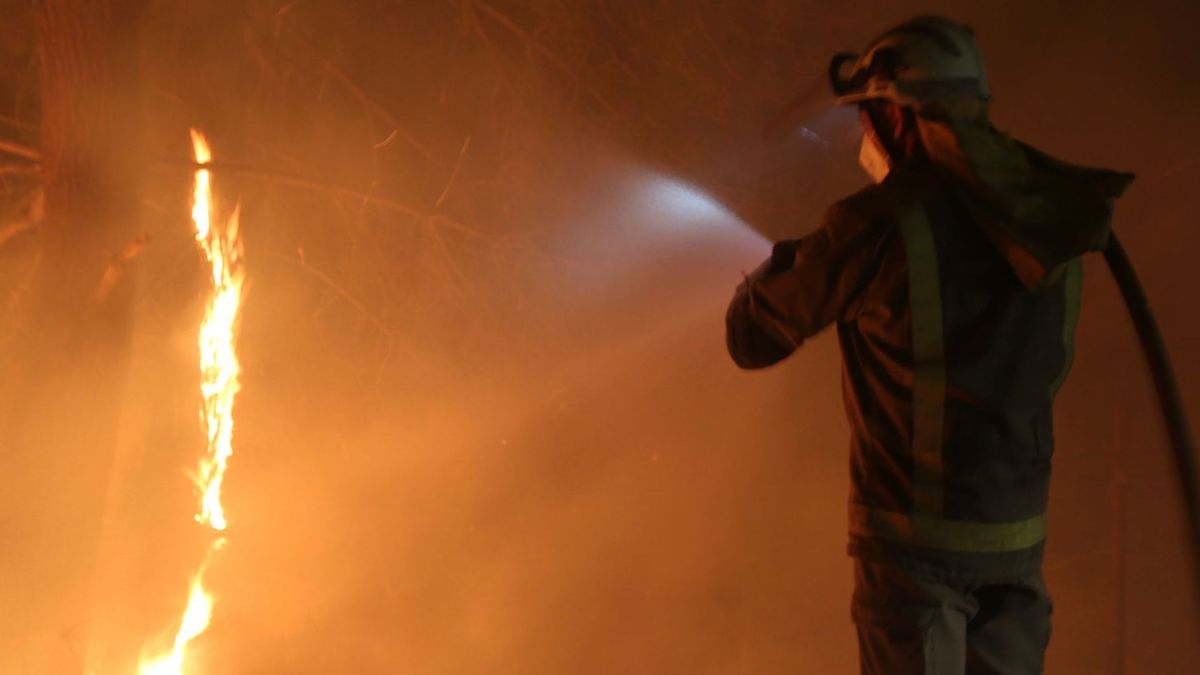 Imagen de archivo de un bombero forestal. Imagen de archivo de un bombero forestal.