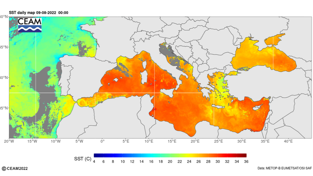 Temperatura superficial del mar registrada el 9 de agosto 2022