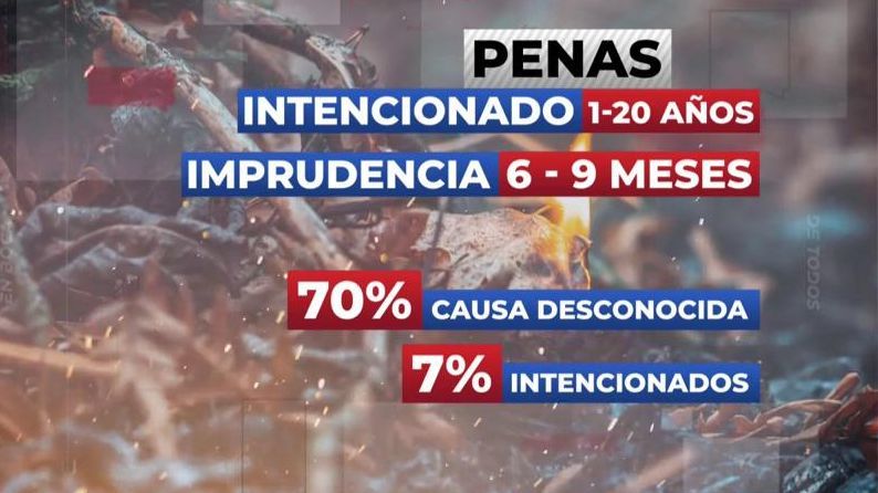 Cómo encontrar a los autores de un incendio forestal: “Lo primero es acudir rápidamente a la zona para preservar los indicios”