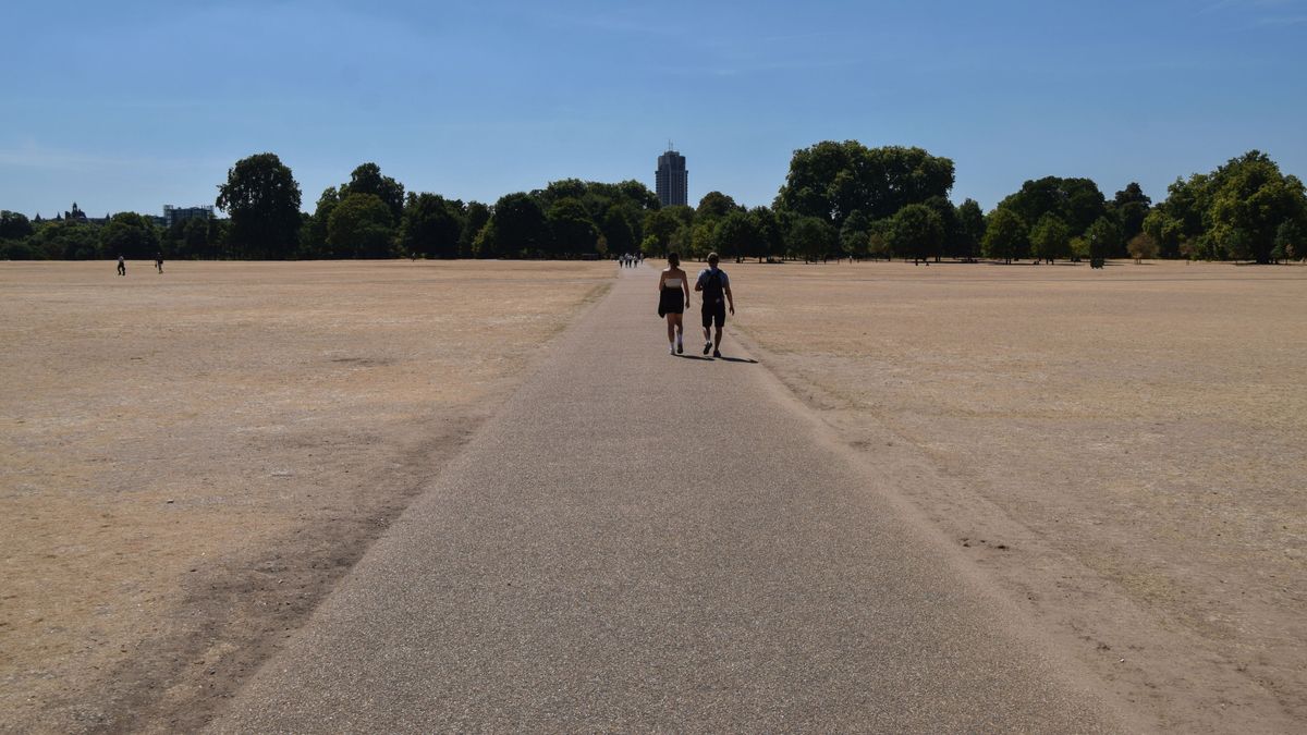 El césped de Hyde Park El césped de Hyde Park
