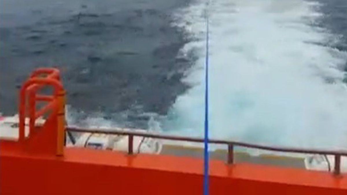Las orcas obligan a remolcar un velero con tres menores al norte de A Coruña Las orcas obligan a remolcar un velero con tres menores al norte de A Coruña