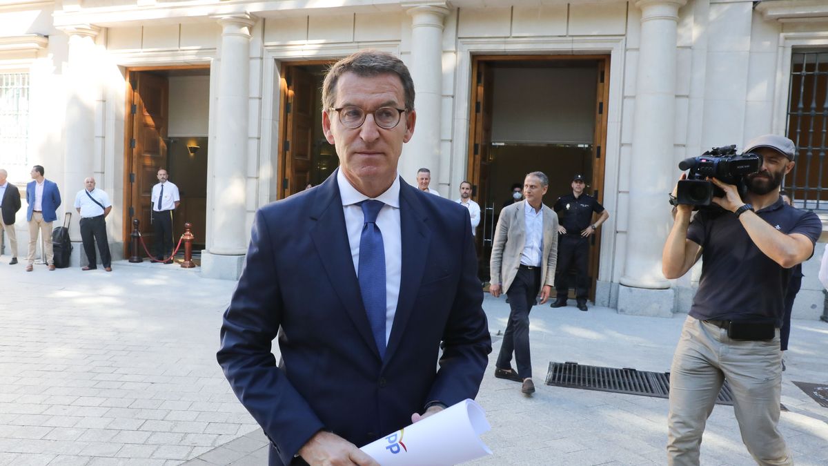 El presidente del PP, Alberto Núñez Feijóo El presidente del PP, Alberto Núñez Feijóo