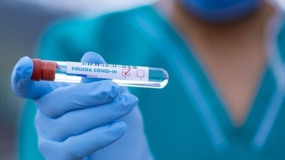 EuropaPress 3199552 aunando ventajas pcr test rapidos rap id19 pretende aumentar fiabilidad EuropaPress 3199552 aunando ventajas pcr test rapidos rap id19 pretende aumentar fiabilidad