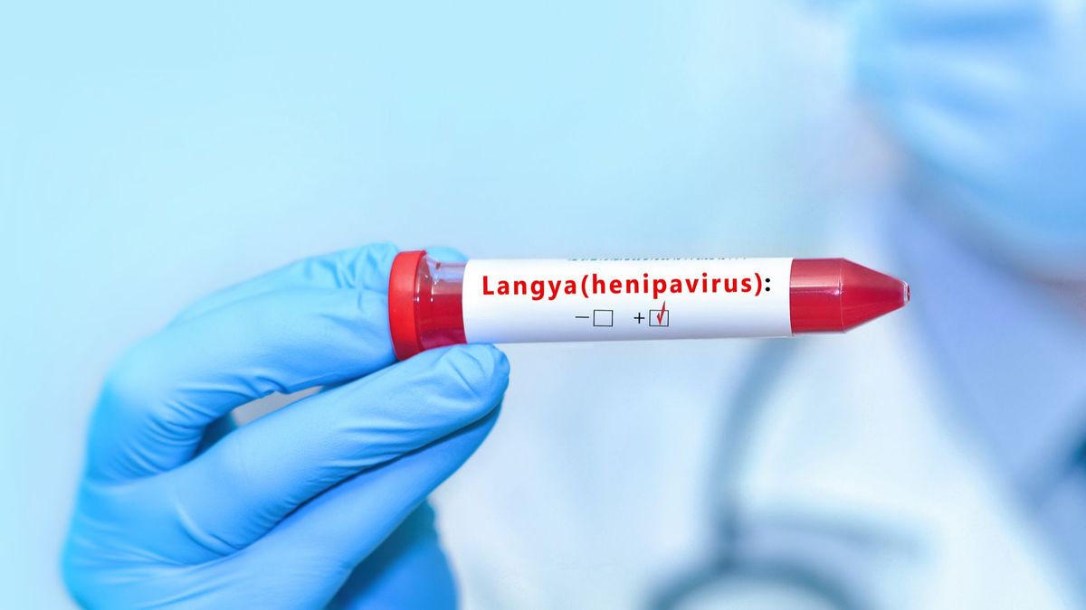 Henipavirus Langya