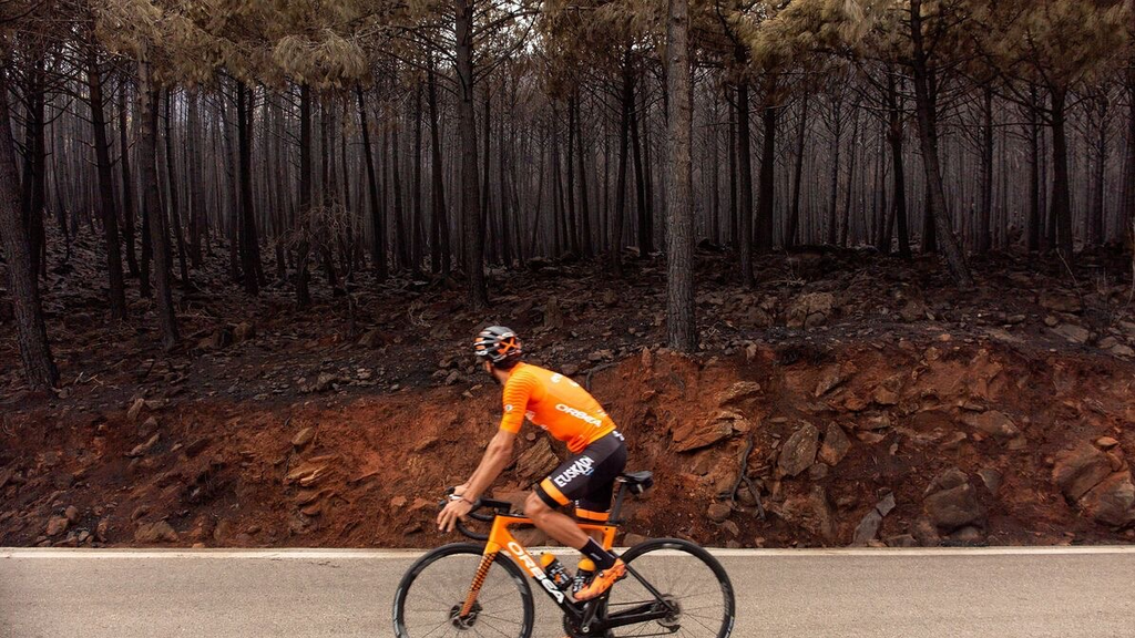 Maté por las carreteras de Sierra Bermeja