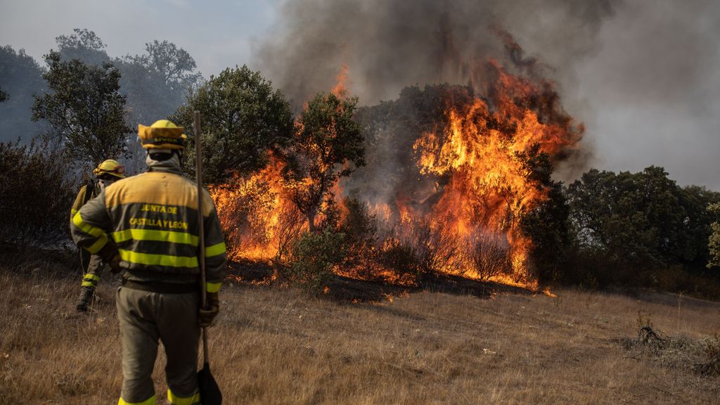 Incendio forestal