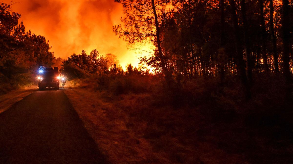 Bomberos combatiendo un incendio forestal en Belin-Beliet, Francia Bomberos combatiendo un incendio forestal en Belin-Beliet, Francia