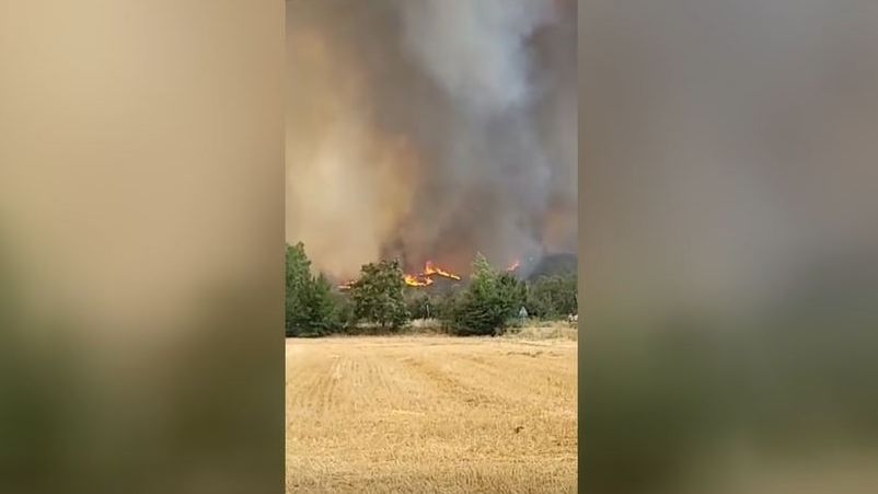 Desalojan a unas 1500 personas por el incendio de Añón del Moncayo, en Zaragoza
