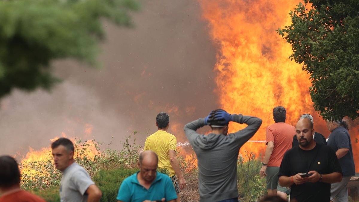 EuropaPress 4626453 vecinos localidad luchan contra llamas incendio 13 agosto 2022 anon moncayo EuropaPress 4626453 vecinos localidad luchan contra llamas incendio 13 agosto 2022 anon moncayo
