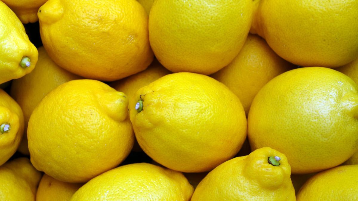 lemons gf00c66801 1920
