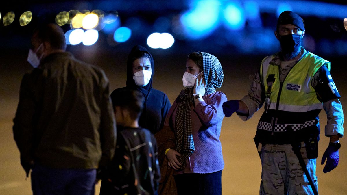 Refugiados afganos: dos tercios siguen en el sistema de acogida y su mayor problema es la vivienda Refugiados afganos: dos tercios siguen en el sistema de acogida y su mayor problema es la vivienda