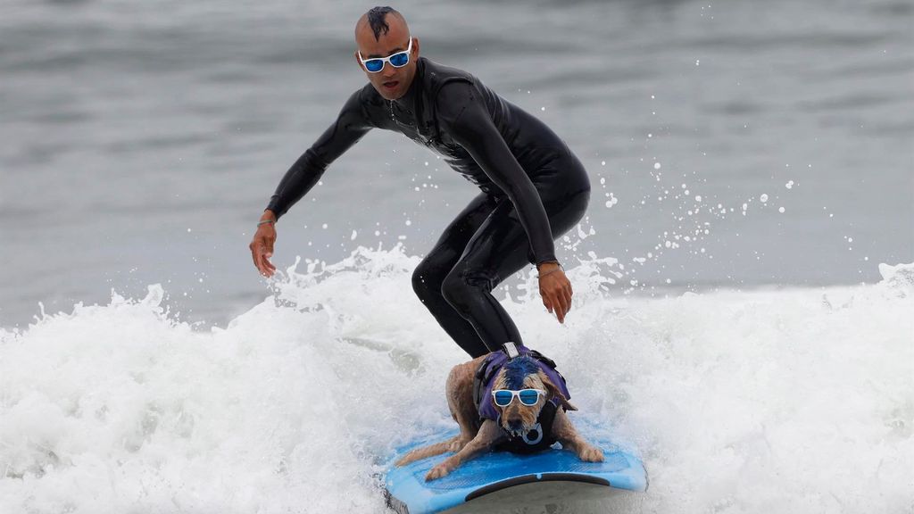 Campeonato del Mundo de surf canino en Estados Unidos