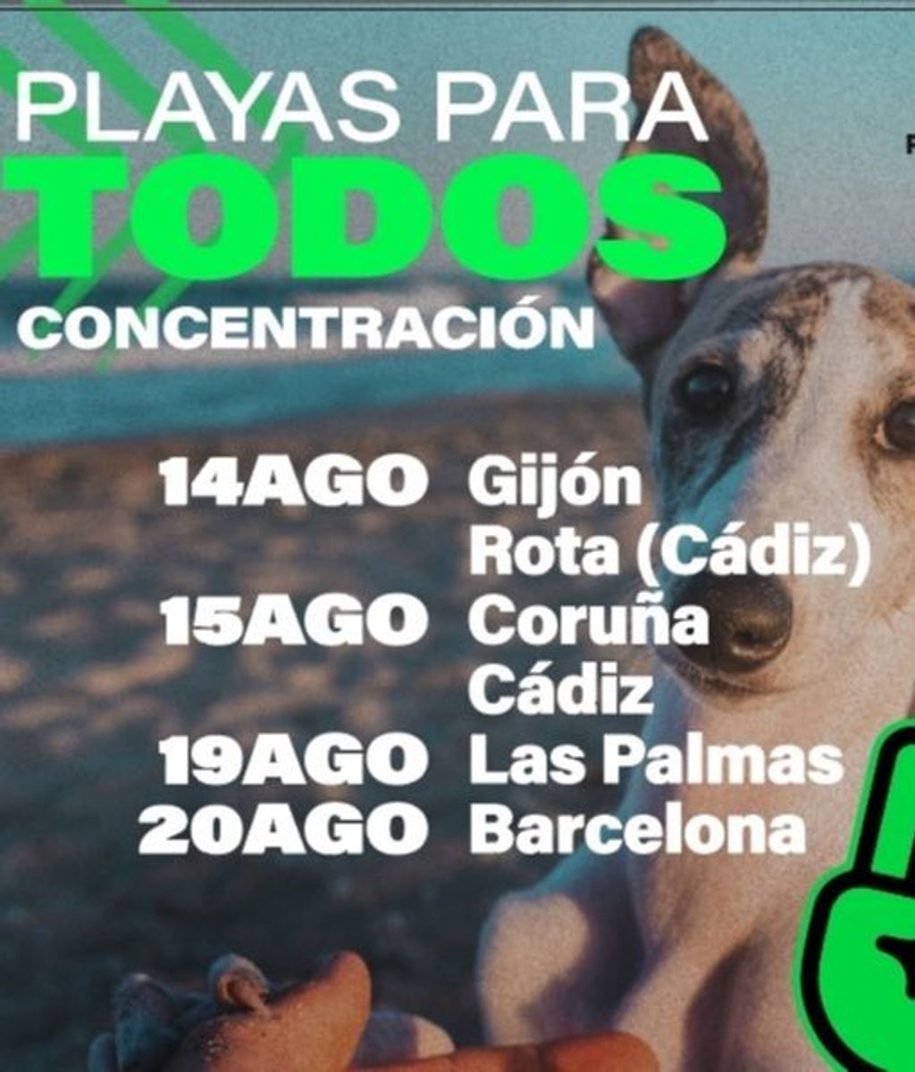 concentraciones seis ciudades espanolas reclamar libre acceso mascotas a las playas