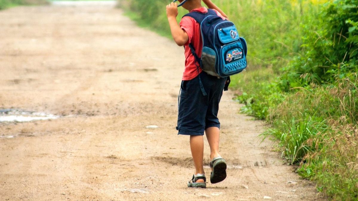 Niño vuelta al cole Niño vuelta al cole