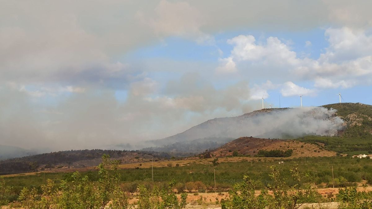 El incendio de Bejís llega a Alcublas, ya en la provincia de Valencia El incendio de Bejís llega a Alcublas, ya en la provincia de Valencia