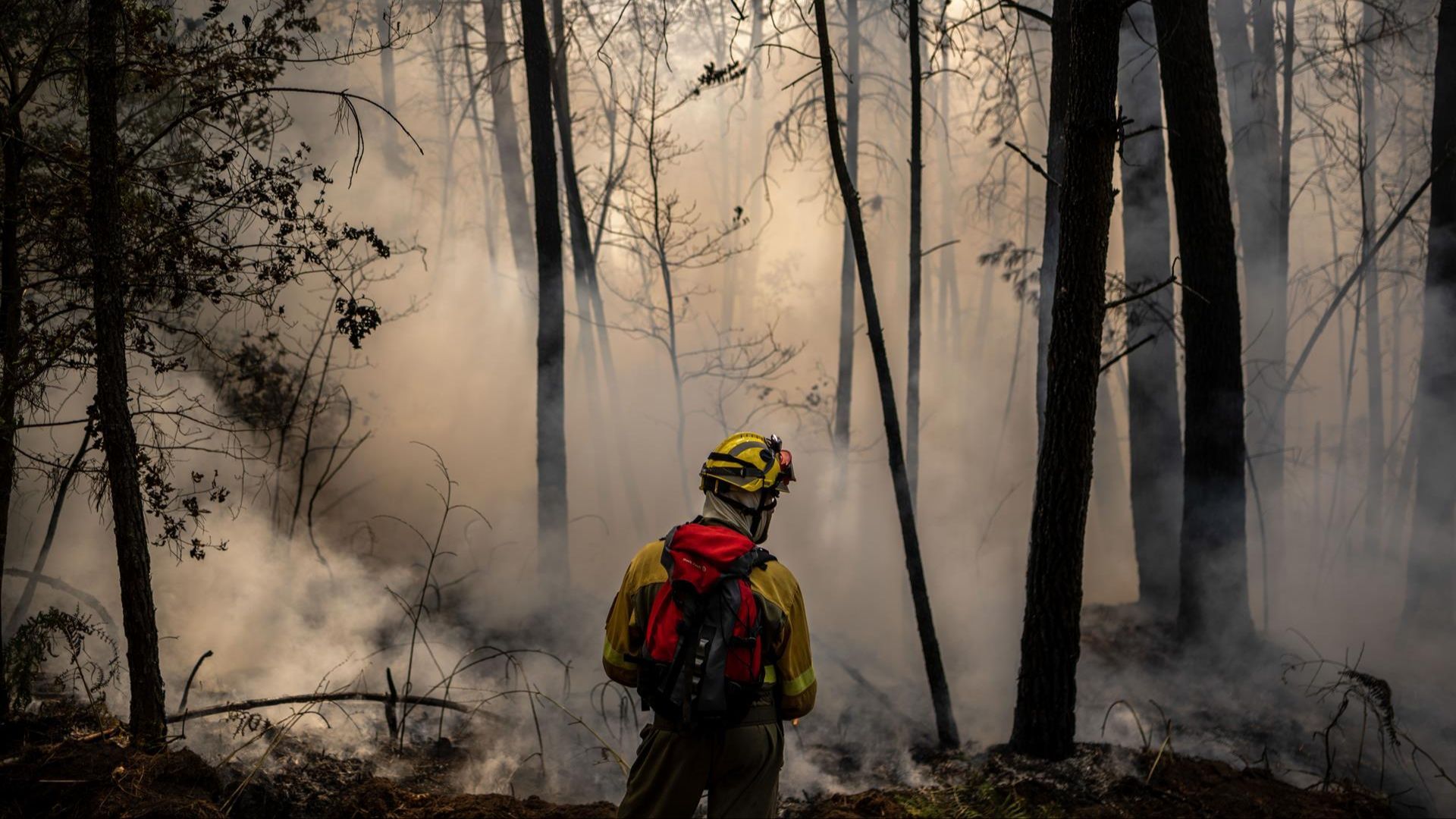 Las lluvias aplacan al fuego en Galicia, devastada por los incendios en verano: han ardido 40.000 hectáreas