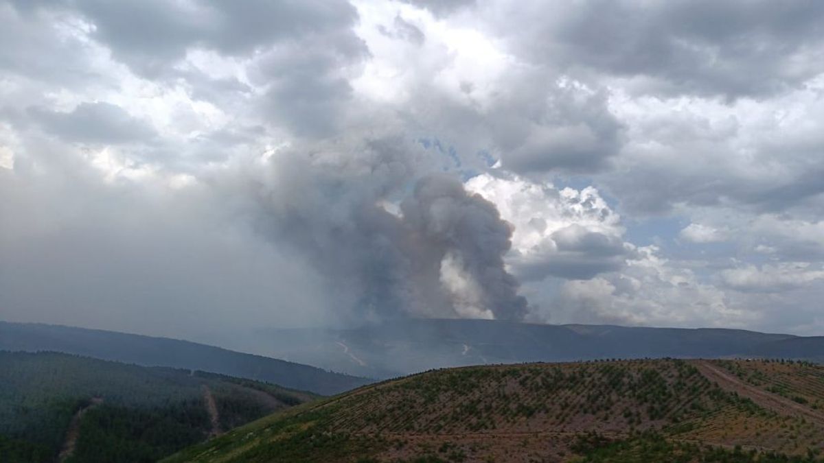 Los incendios de Laza y Pantón, los únicos sin extinguir en Galicia Los incendios de Laza y Pantón, los únicos sin extinguir en Galicia