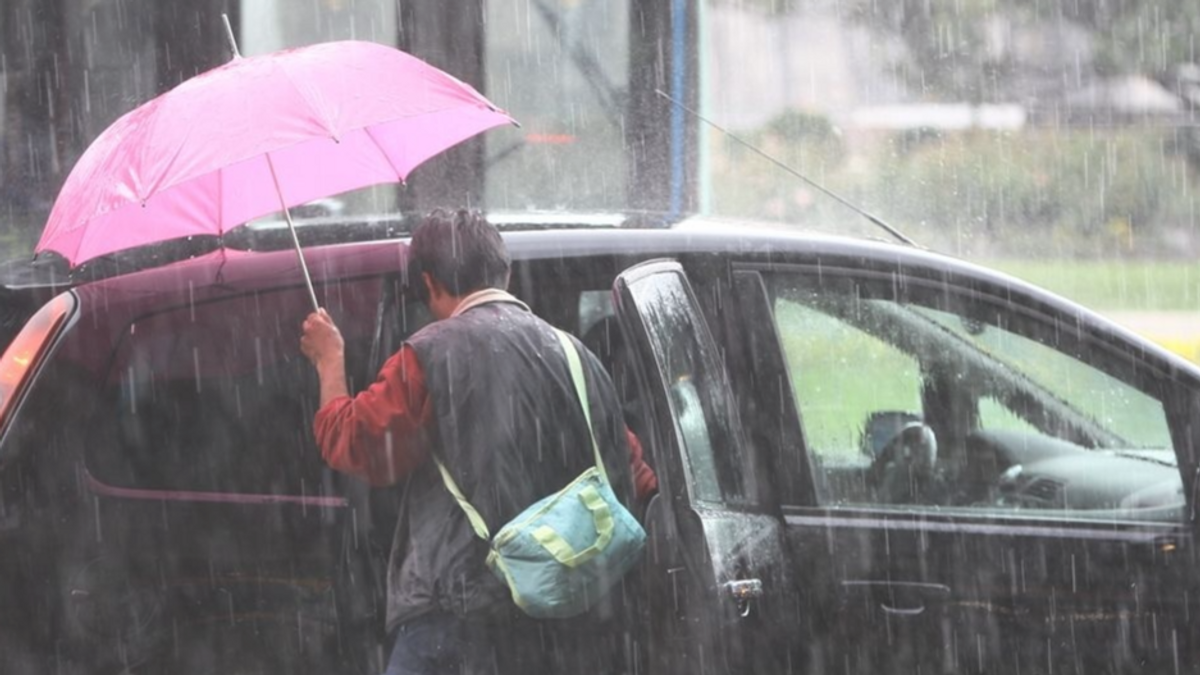 Tras las olas de calor, la lluvia y las sissargas Tras las olas de calor, la lluvia y las sissargas