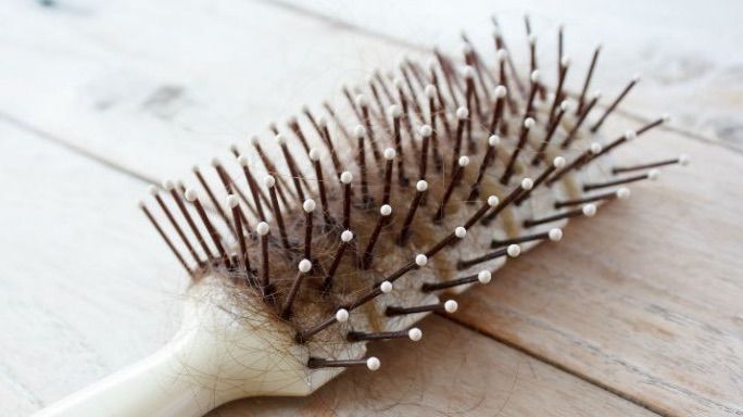 Cómo limpiar los cepillos del pelo - Blog de Arenal