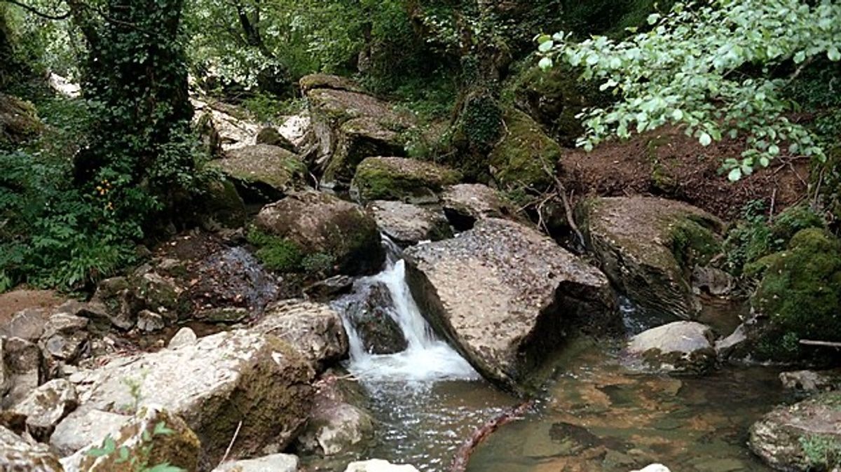 Río Guareña Río Guareña