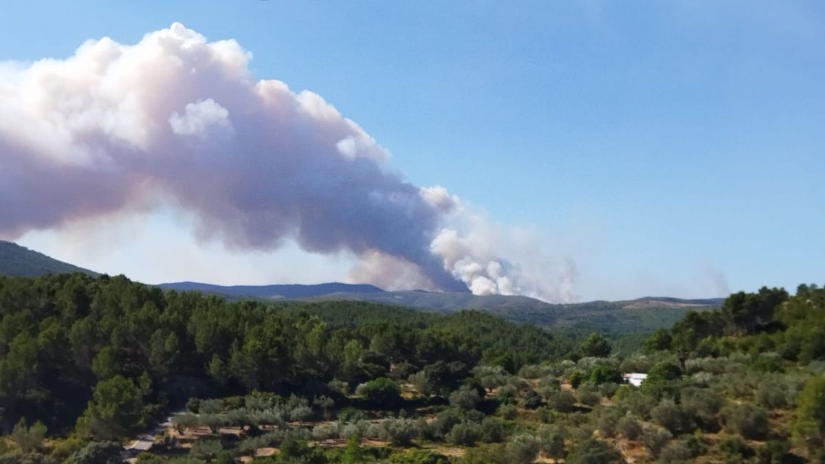Se reproduce el fuego de Bejís en la zona de la Cova Santa Se reproduce el fuego de Bejís en la zona de la Cova Santa