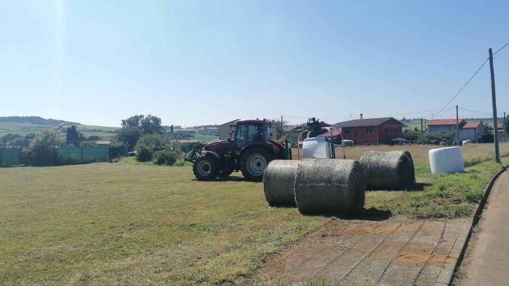 Sequía en España: cómo afectara a la producción agrícola las restricciones