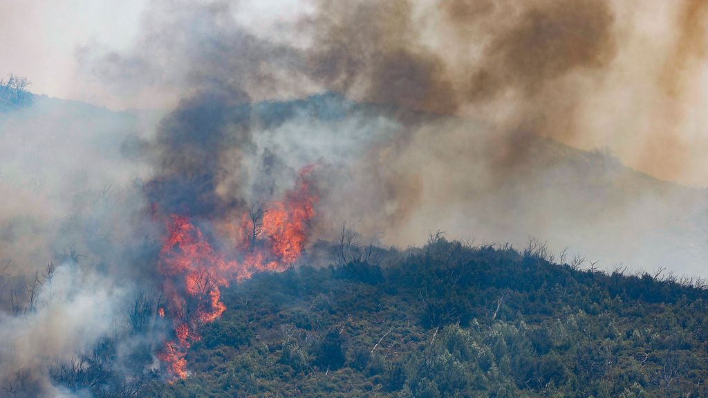 Los incendios forestales se han llevado por delante 168.738,63 hectáreas