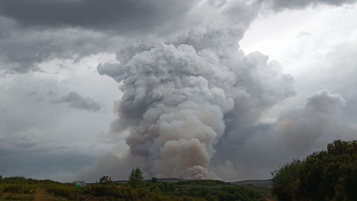 Ecologistas avisan que los incendios en Galicia arrastrarán 1,3 millones de toneladas de tierra a los ríos Ecologistas avisan que los incendios en Galicia arrastrarán 1,3 millones de toneladas de tierra a los ríos
