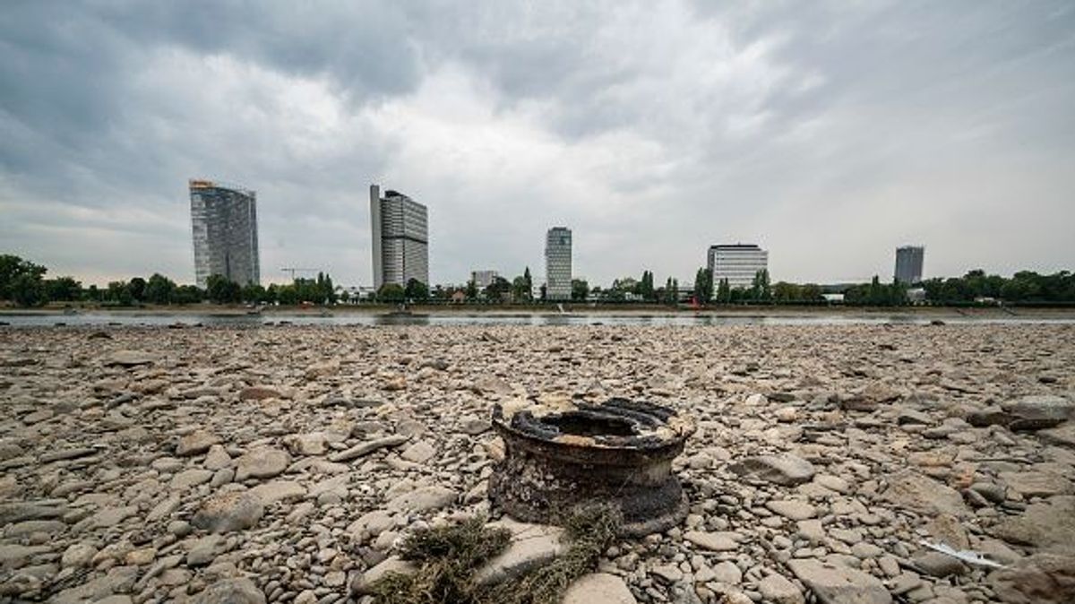 El río Rin a su paso por Bonn El río Rin a su paso por Bonn