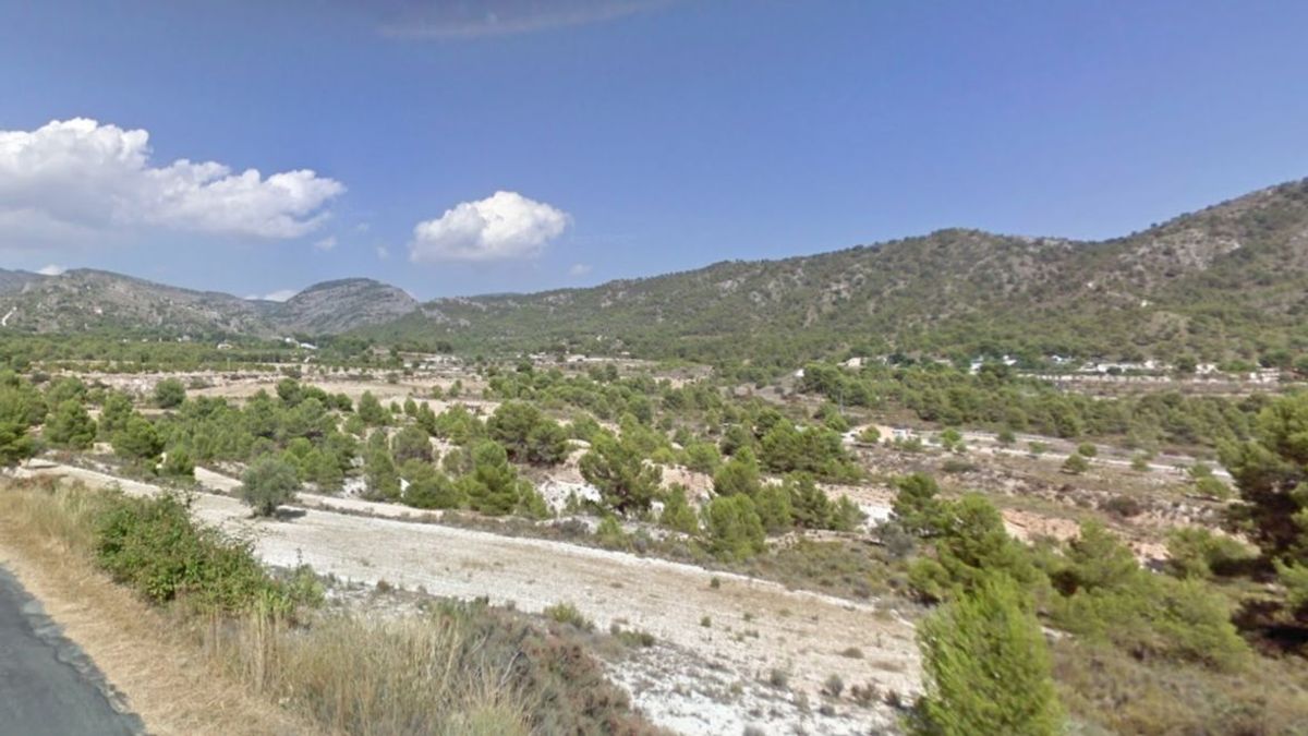 La Policía investiga a un hombre como presunto responsable del incendio en Petrer, arrojó las ascuas de una barbacoa La Policía investiga a un hombre como presunto responsable del incendio en Petrer, arrojó las ascuas de una barbacoa