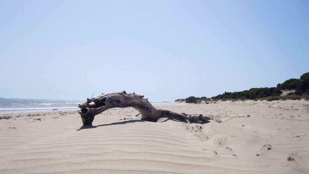 Playa de Doñana, Huelva
