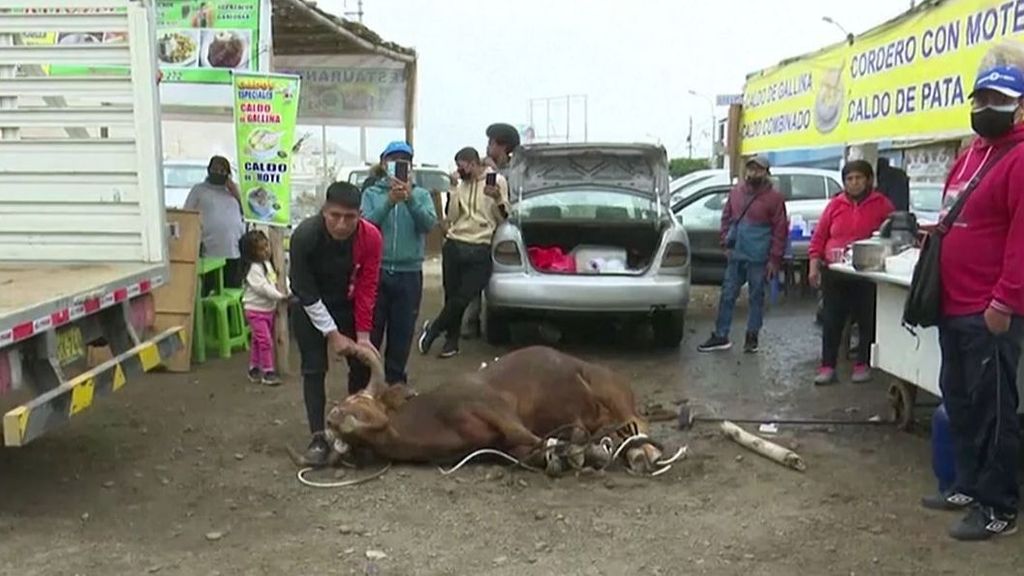Un toro irrumpe en un comercio en Perú: hirió a dos personas