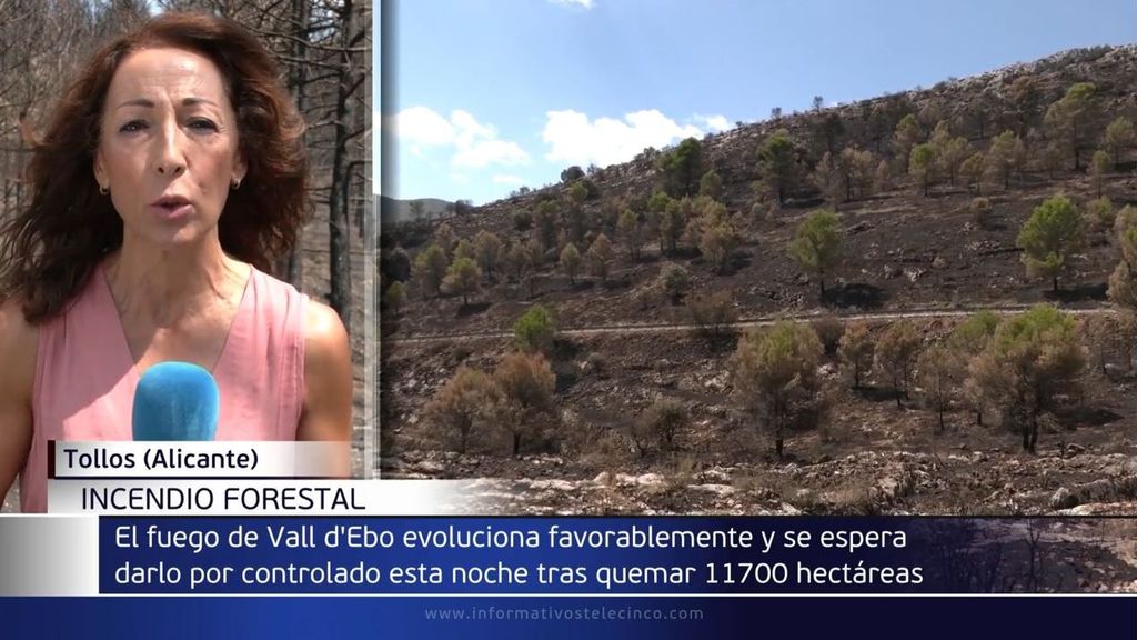 Diputación de Alicante ofrecerá anticipos a los ayuntamientos afectados por el incendio de Vall d'Ebo