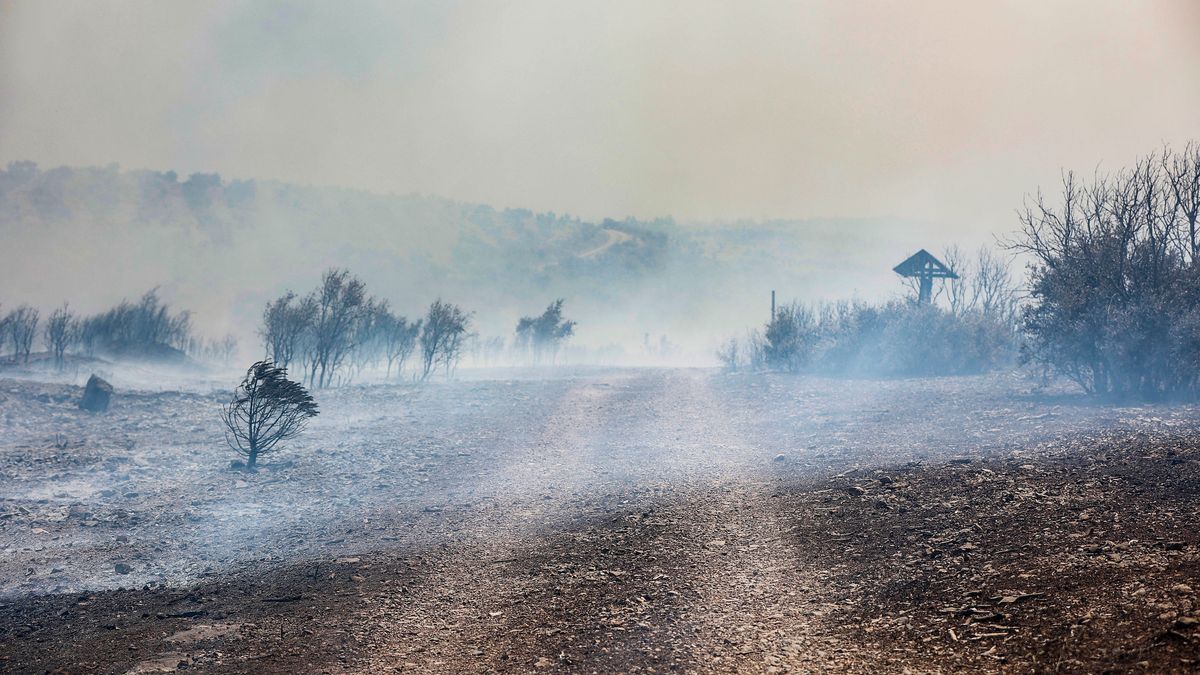 EuropaPress 4633335 zona calcinada bastion calderona incendio forestal va alcublas poblaciones EuropaPress 4633335 zona calcinada bastion calderona incendio forestal va alcublas poblaciones