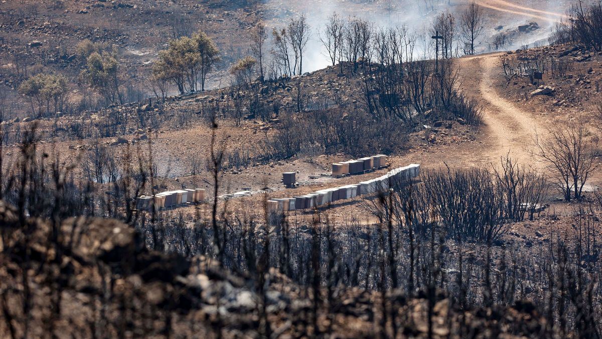 Humo y zona calcinada del incendio forestal que va desde Alcublas hasta las poblaciones de Bejis,