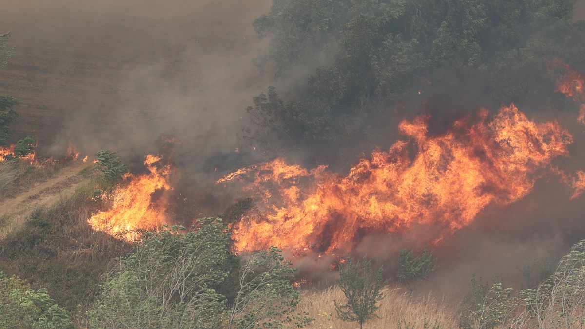 EuropaPress 4626417 vistas llamas incendio 13 agosto 2022 anon moncayo zaragoza aragon espana EuropaPress 4626417 vistas llamas incendio 13 agosto 2022 anon moncayo zaragoza aragon espana