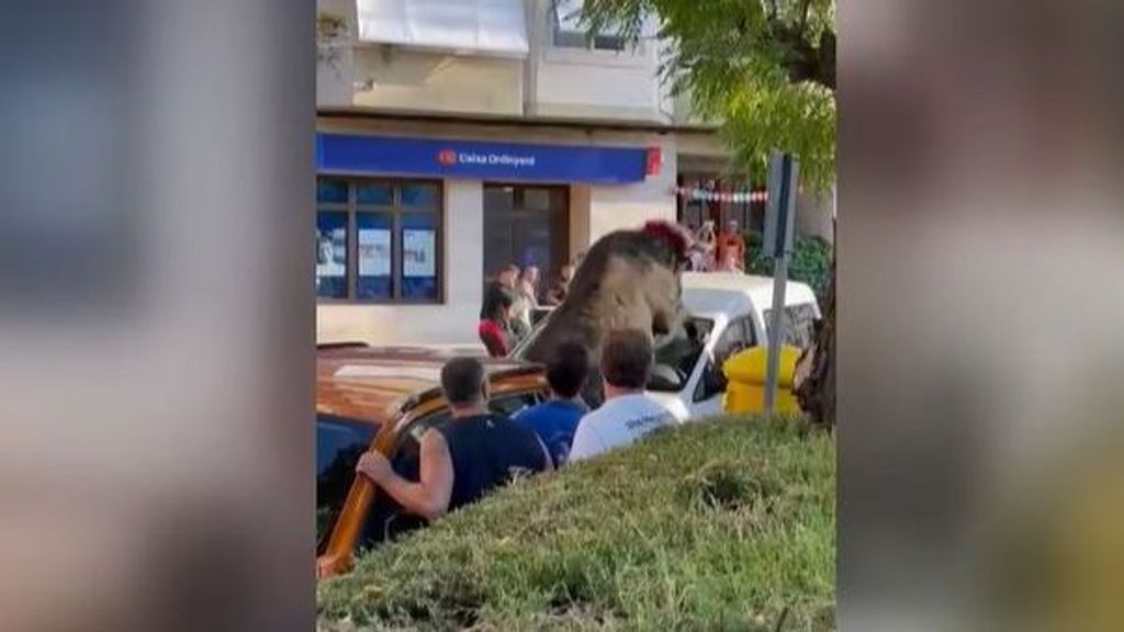 Un toro causa el terror en Vallada, Valencia: se salió del recorrido y embistió a una furgoneta