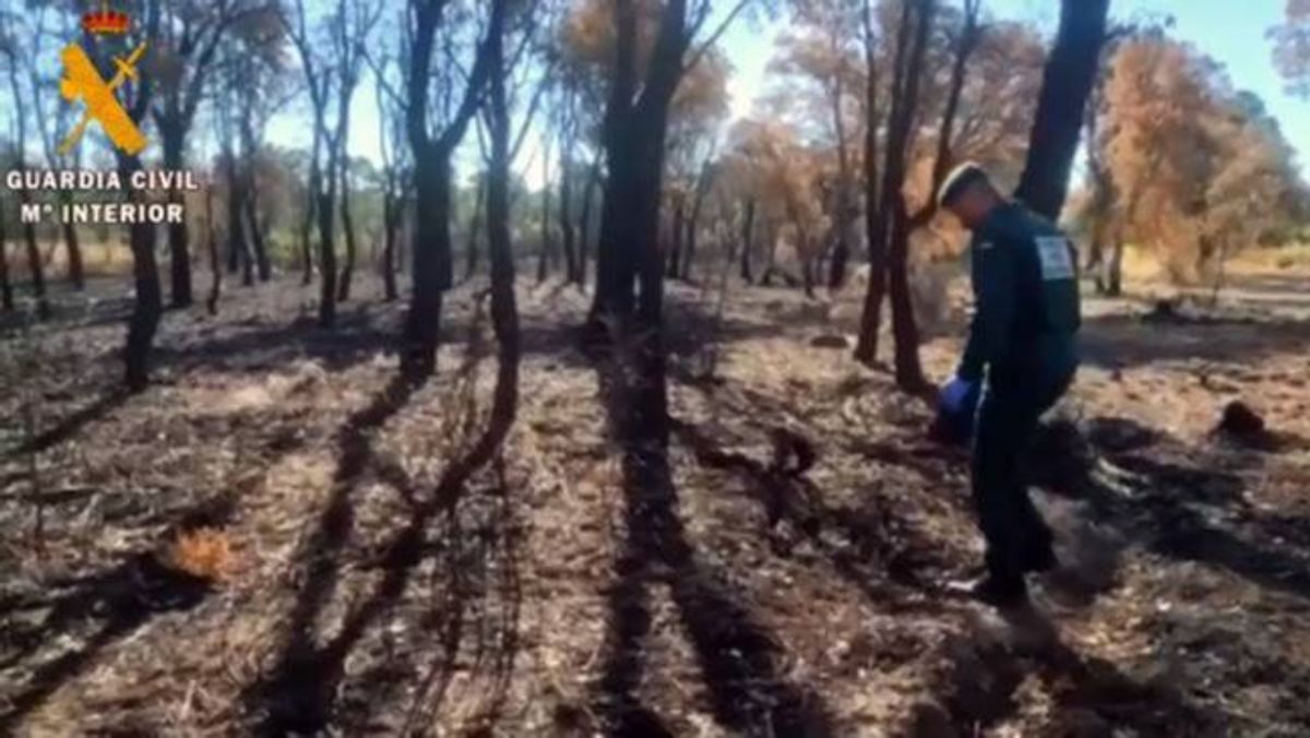 Investigan a un ganadero como presunto autor de ocho incendios en Talayuela Investigan a un ganadero como presunto autor de ocho incendios en Talayuela