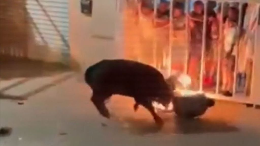 Muere un joven de 24 años al ser embestido por un  toro en las fiestas de Vallada, en Valencia