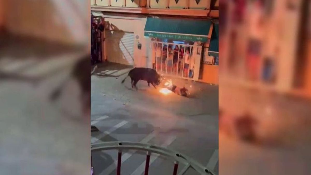 Muere un joven de 24 años en los bous al carrer de Vallada Muere un joven de 24 años en los bous al carrer de Vallada