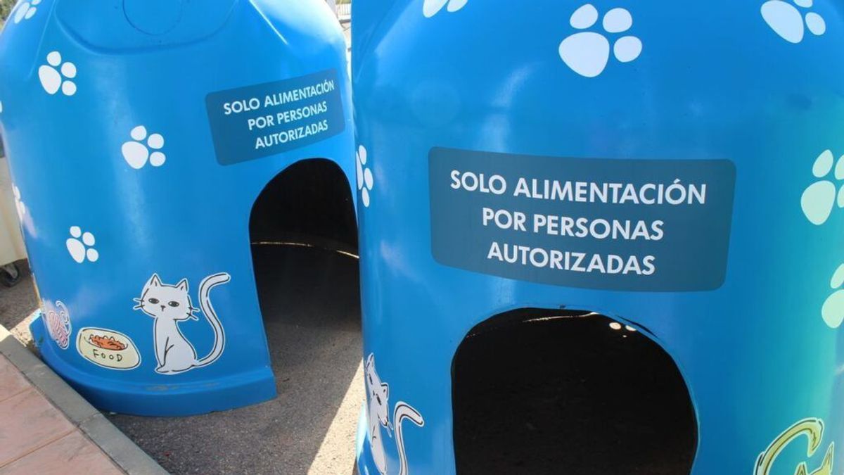 Contenedores de vidrio convertidos en casas de gatos Contenedores de vidrio convertidos en casas de gatos