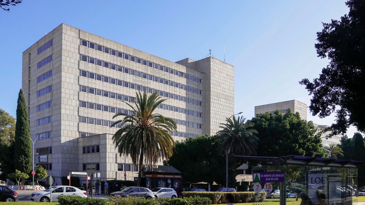 Hospitalizado tres días un bebé de 10 meses por posible ingesta de drogas en Málaga Hospitalizado tres días un bebé de 10 meses por posible ingesta de drogas en Málaga