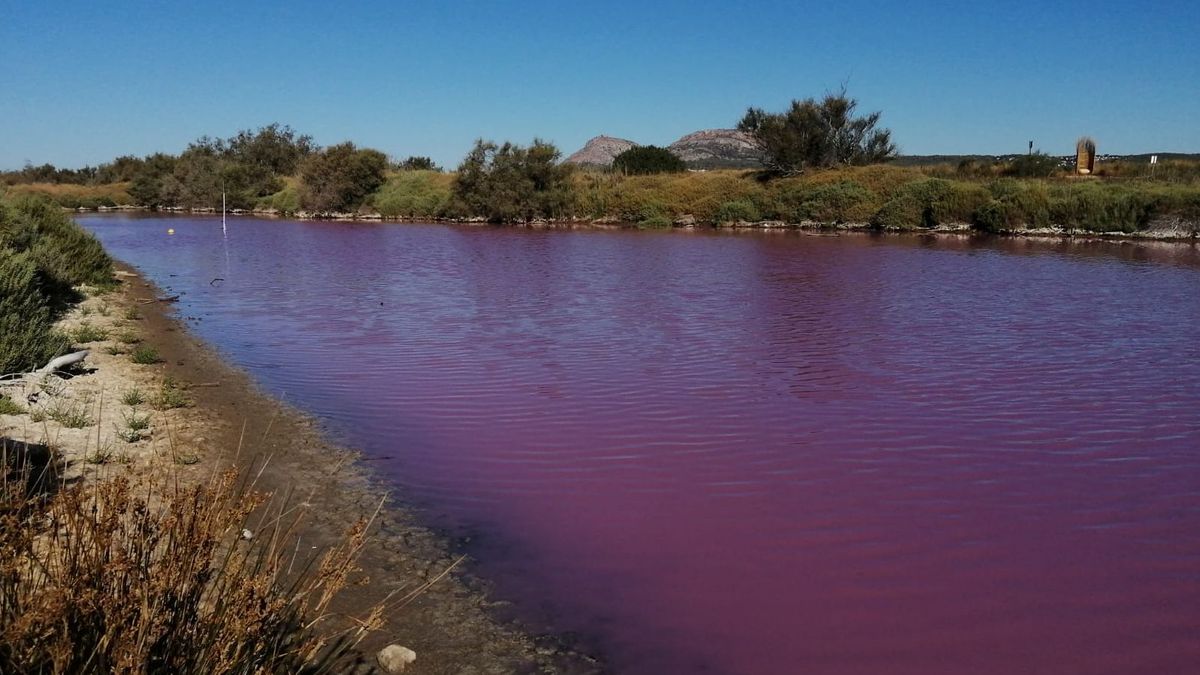 Imagen de la laguna de Fra Ramon teñida de rosa