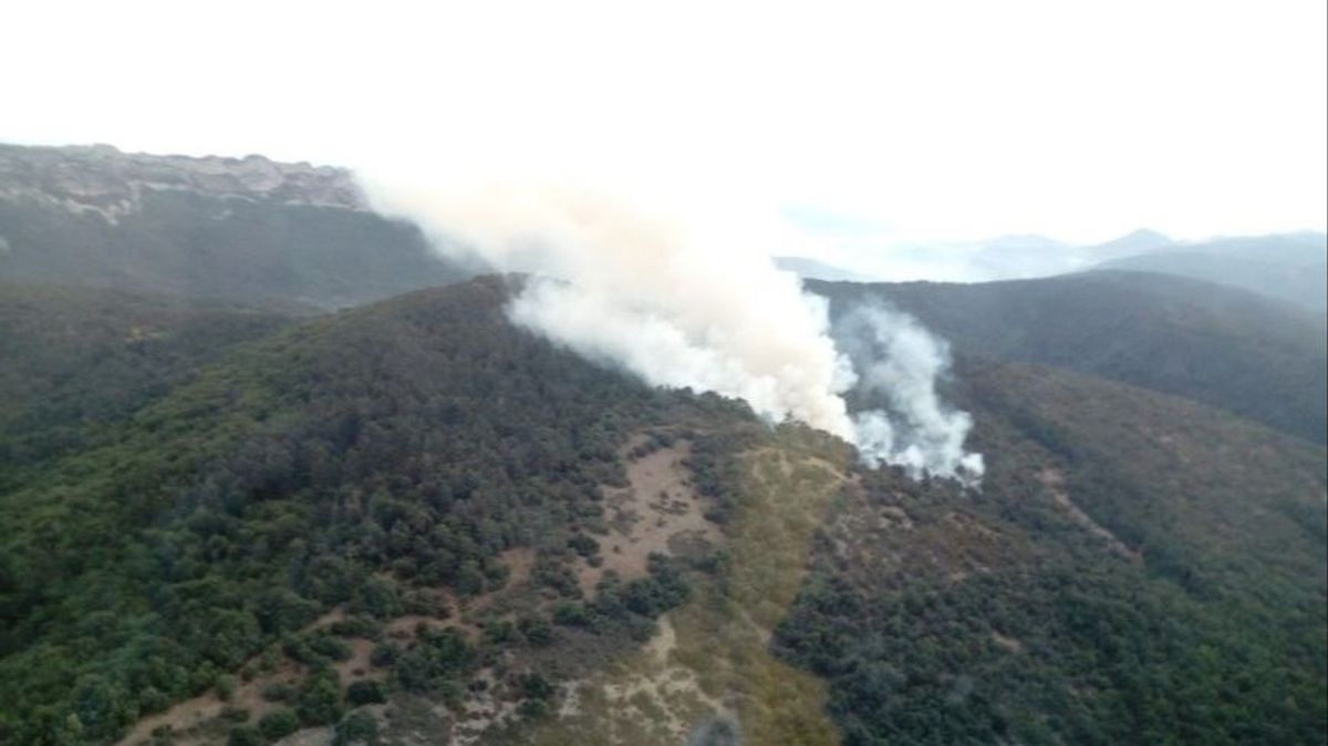 Incendio forestal en Valdegovia (Álava), en el Parque Natural Valderejo, colindante con el Valle de Tobalina