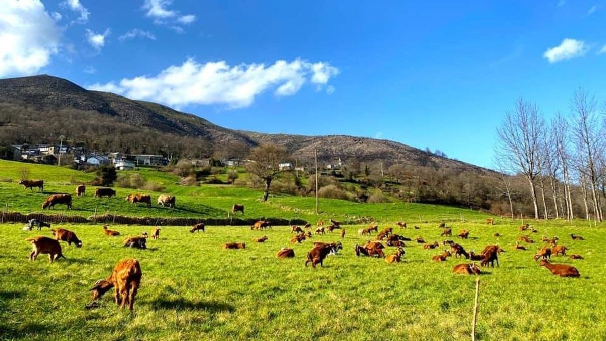 En Galicia ya hay declaradas un total de 21 aldeas modelo En Galicia ya hay declaradas un total de 21 aldeas modelo