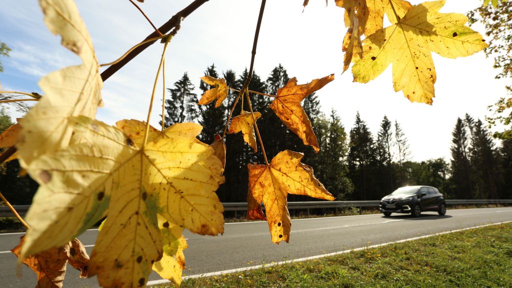 ¿Qué es el otoño meteorológico que empieza la próxima semana?