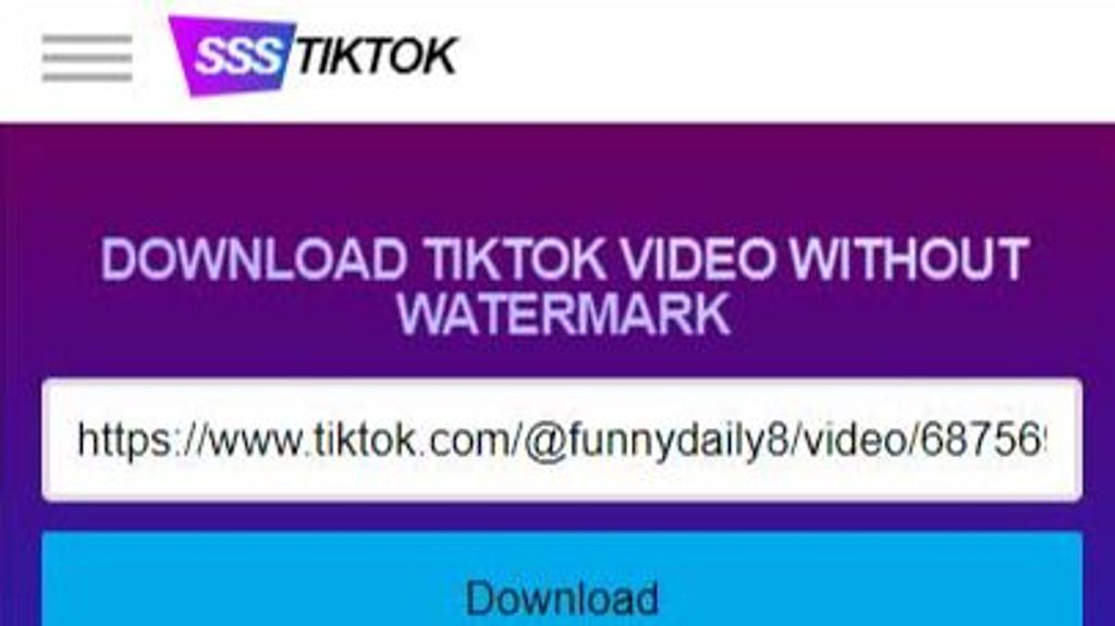 ssstiktok app