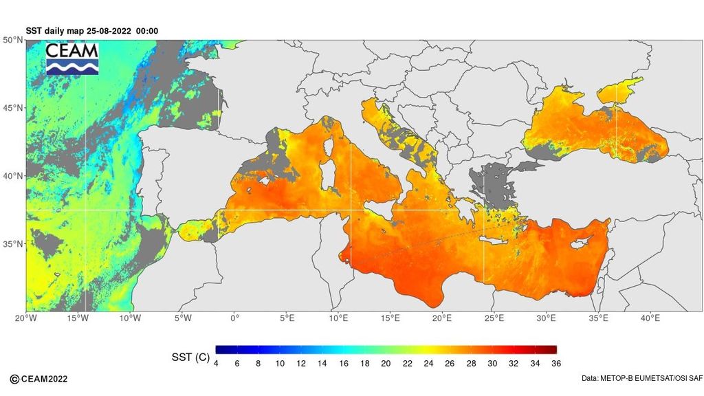 Temperatura del mar Mediterráneo a 25 de agosto 2022