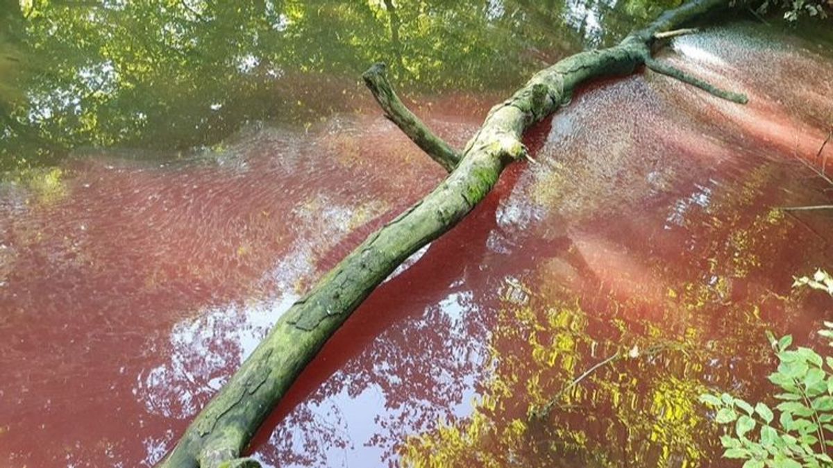 Vertido en el río Urola Vertido en el río Urola